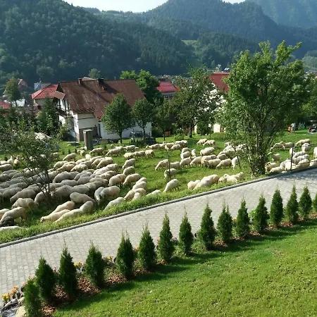 U Celinki 홈스테이