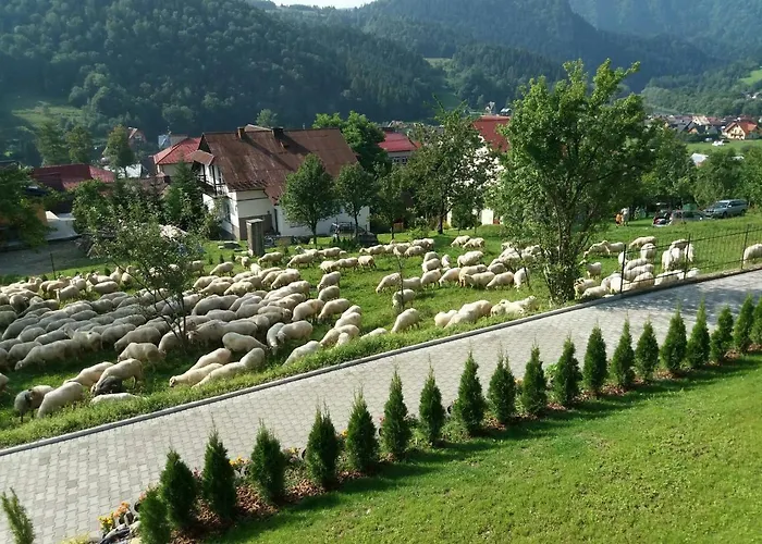 U Celinki 홈스테이